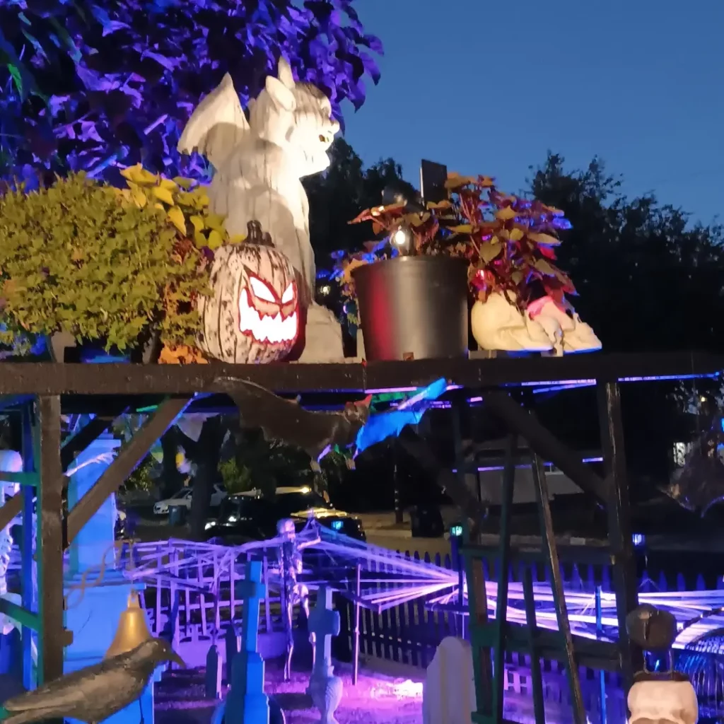 IMG 20230927 195346 882 1024x1024