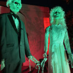 IMG 8236 150x150