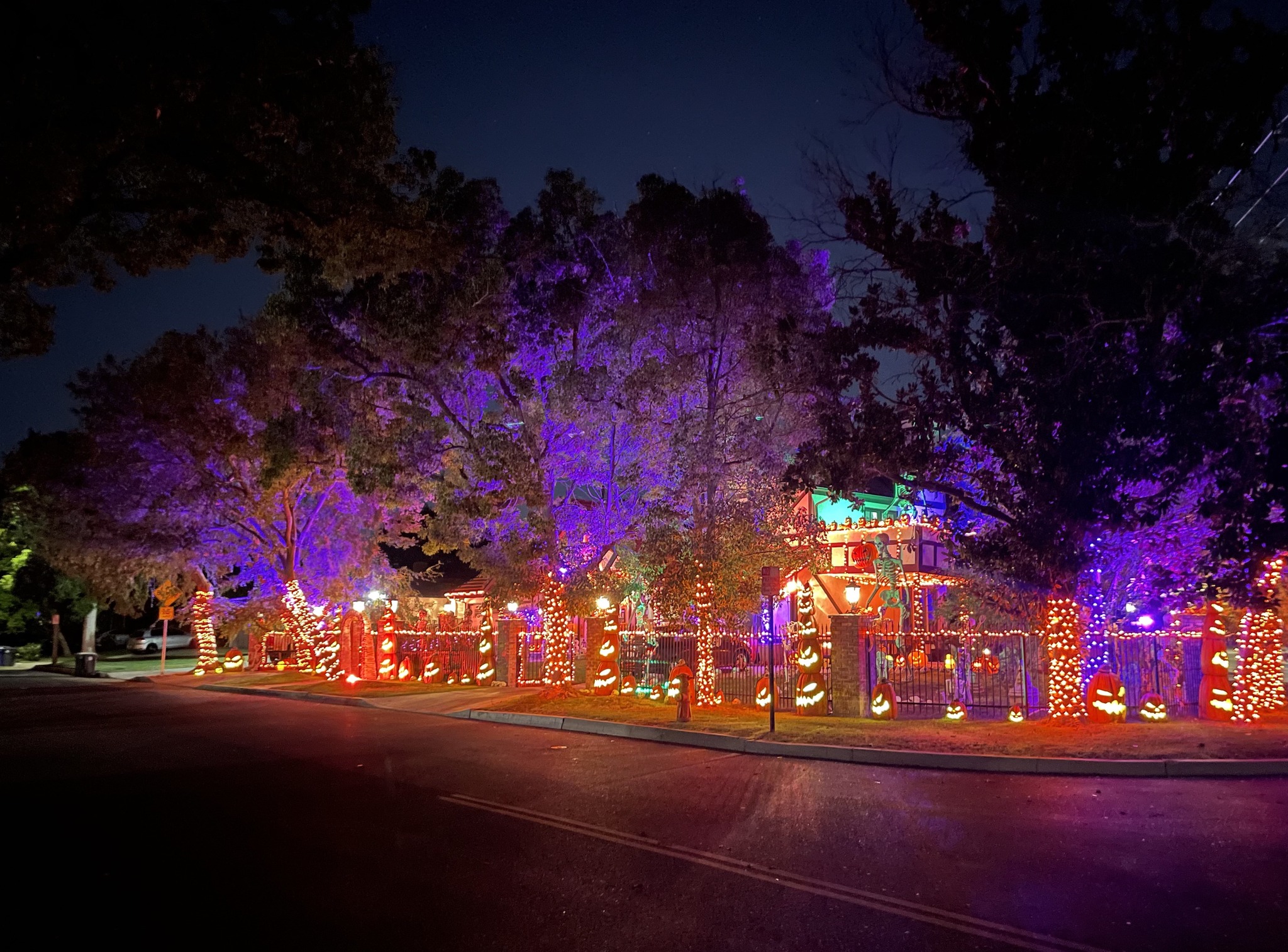 394523093 10159115254887396 4986751775617202027 n