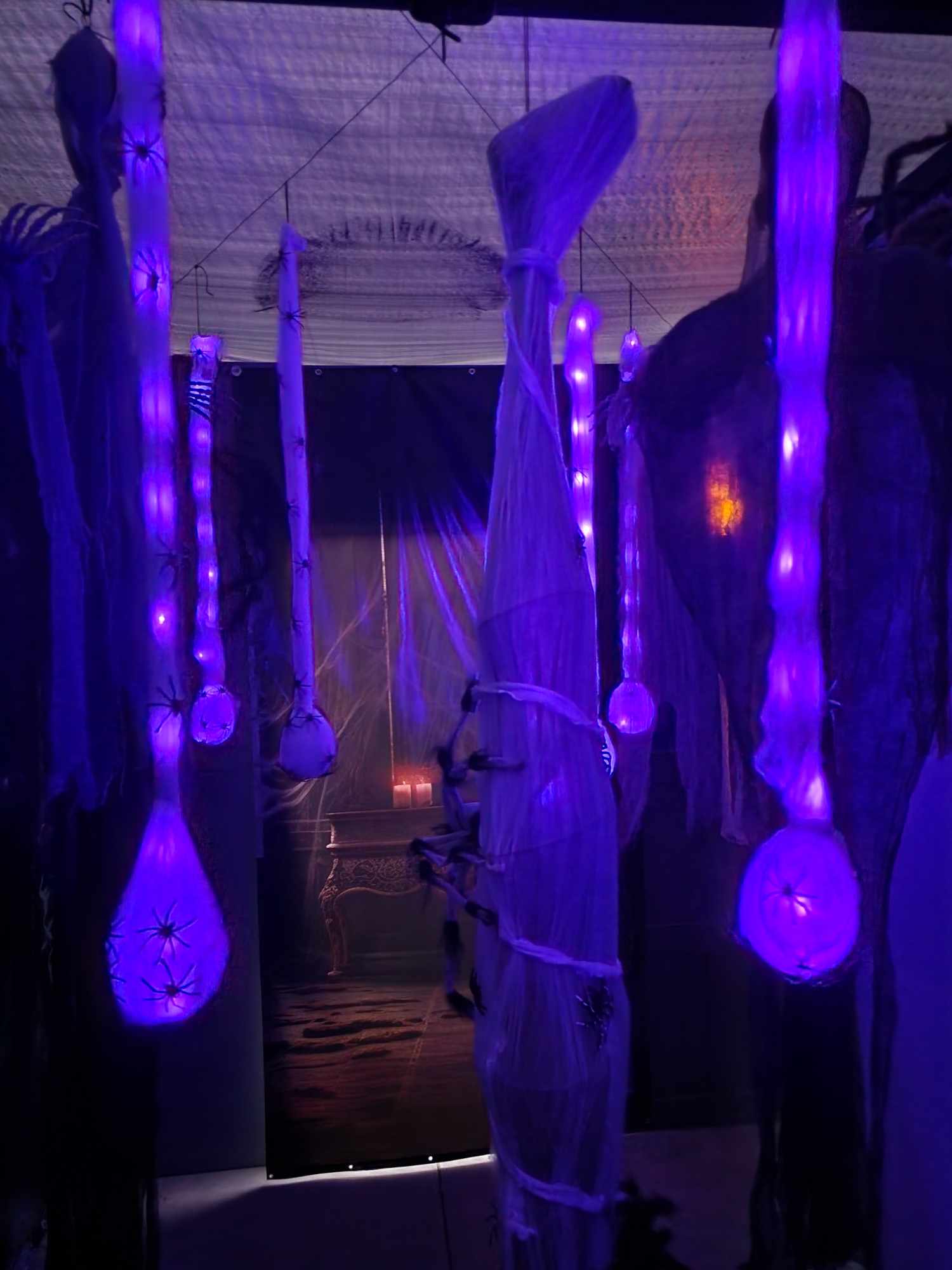 Spider Room Haunt