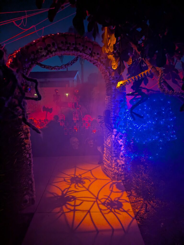 1f53d94f cc65 4562 bb67 4b559dca880f 1 all 3848 768x1020