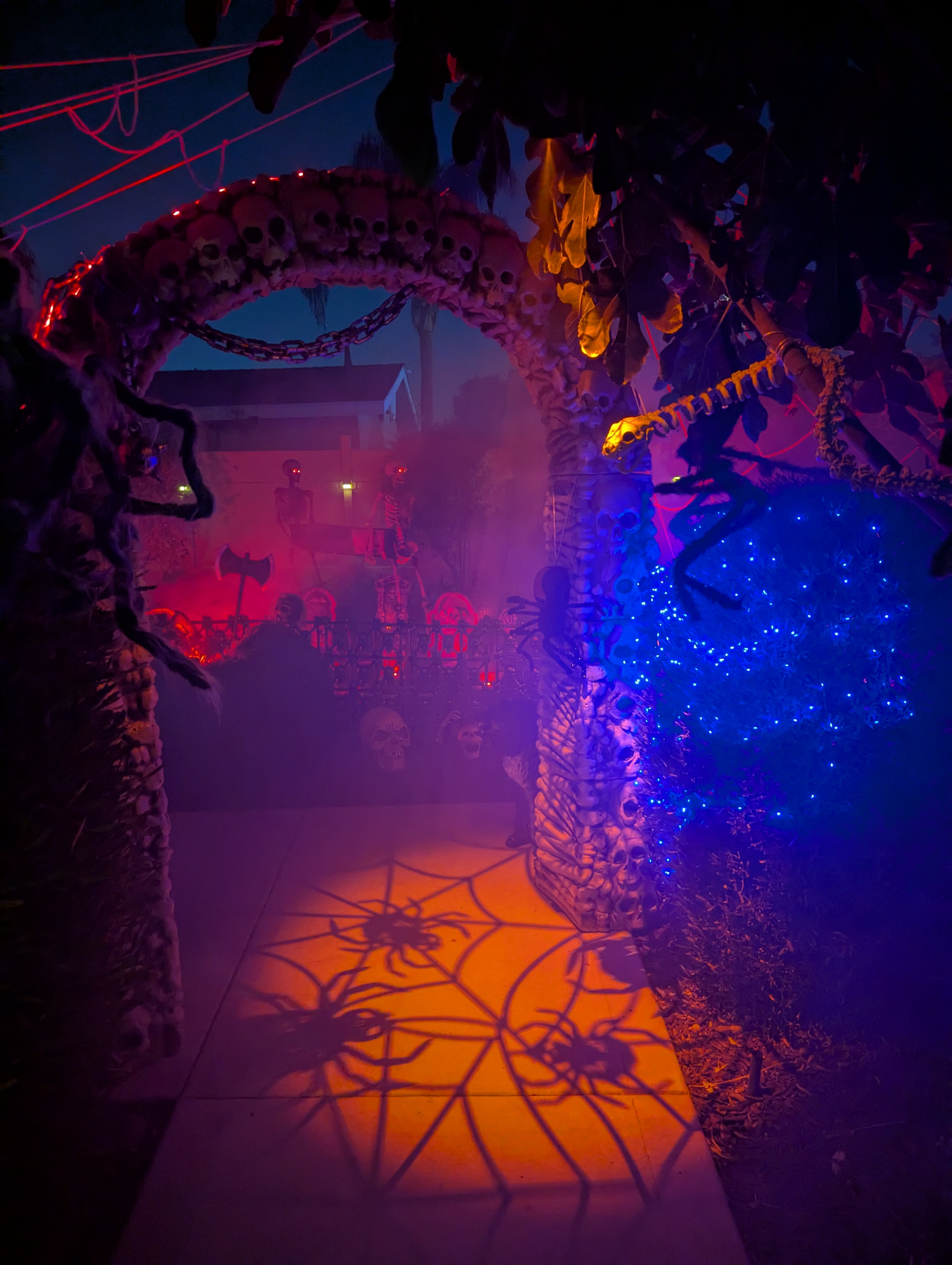 1f53d94f cc65 4562 bb67 4b559dca880f 1 all 3848