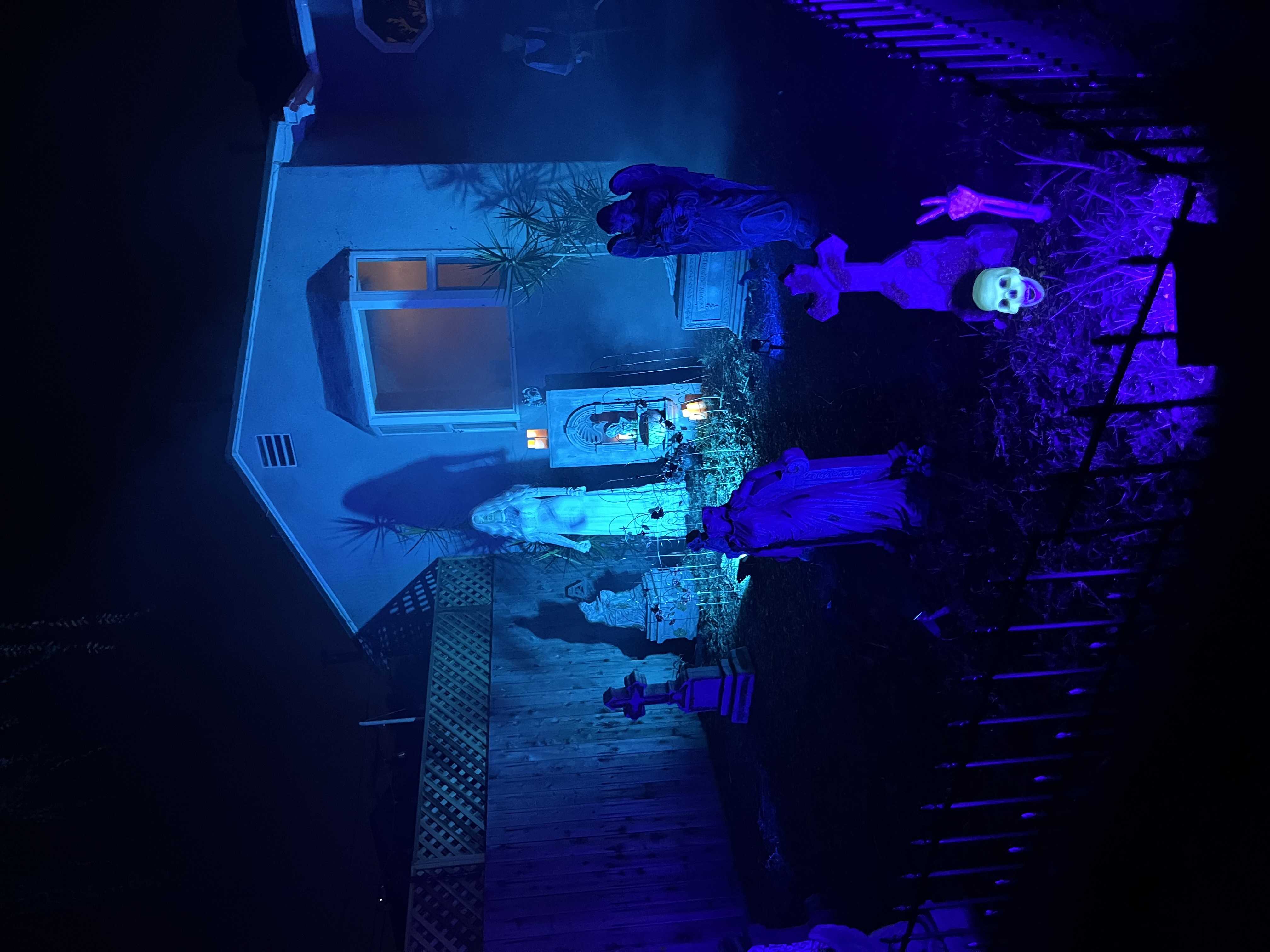 IMG 0281