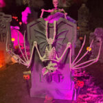 IMG 5273 150x150