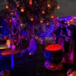 IMG 8454 150x150
