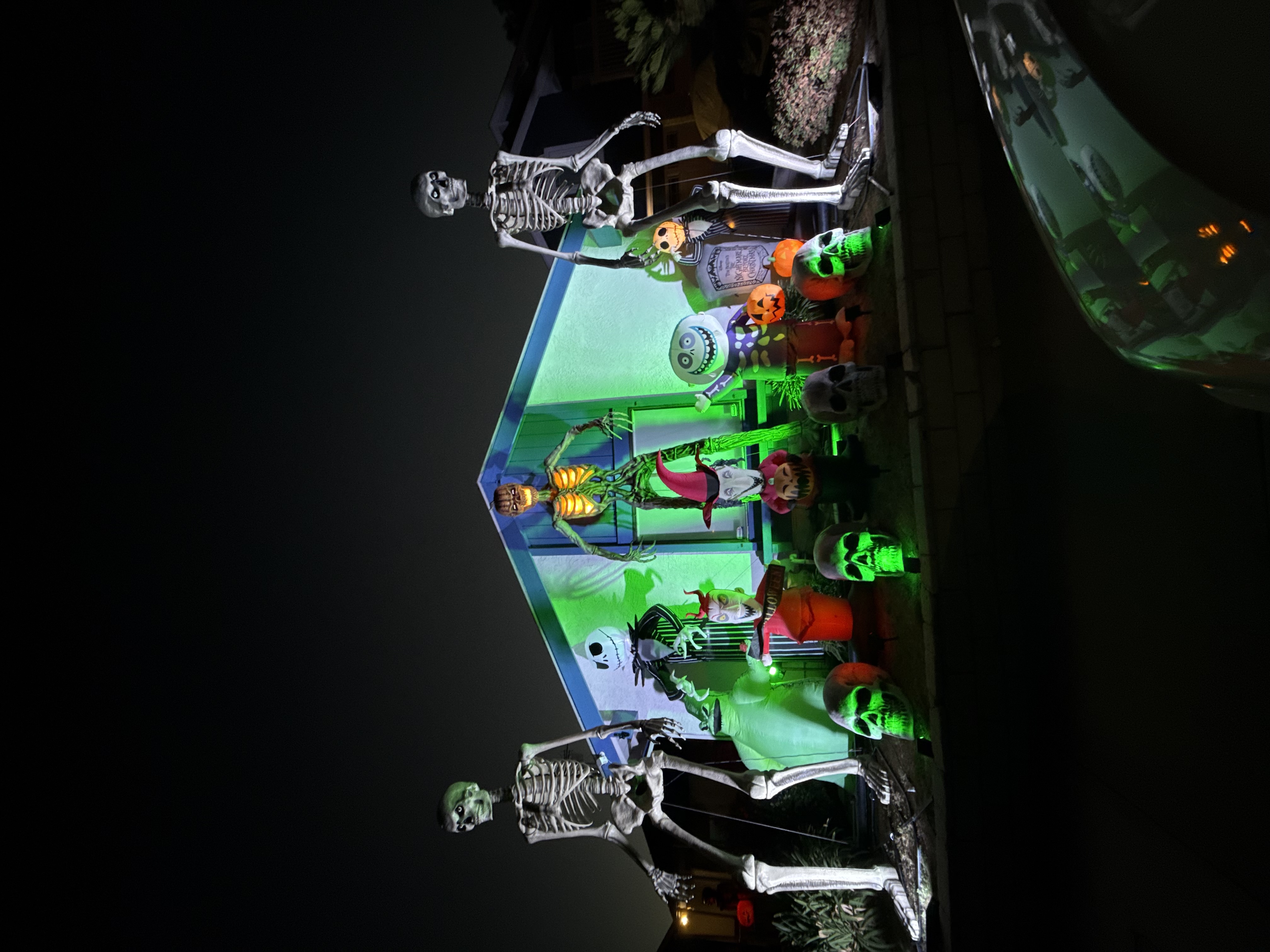 IMG 9880