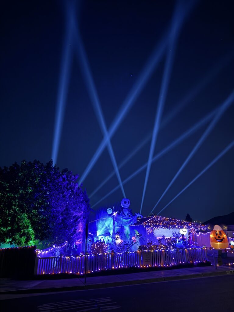 IMG 3211 768x1024