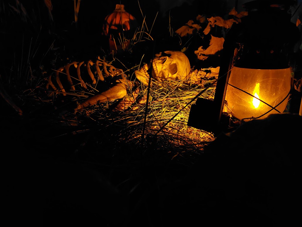 spooky 2026 01