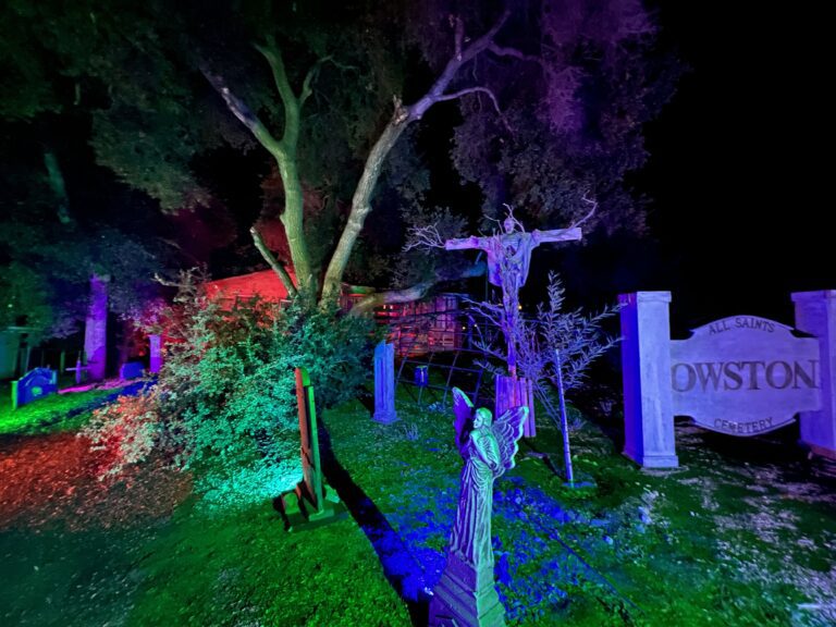 IMG 2177 768x576