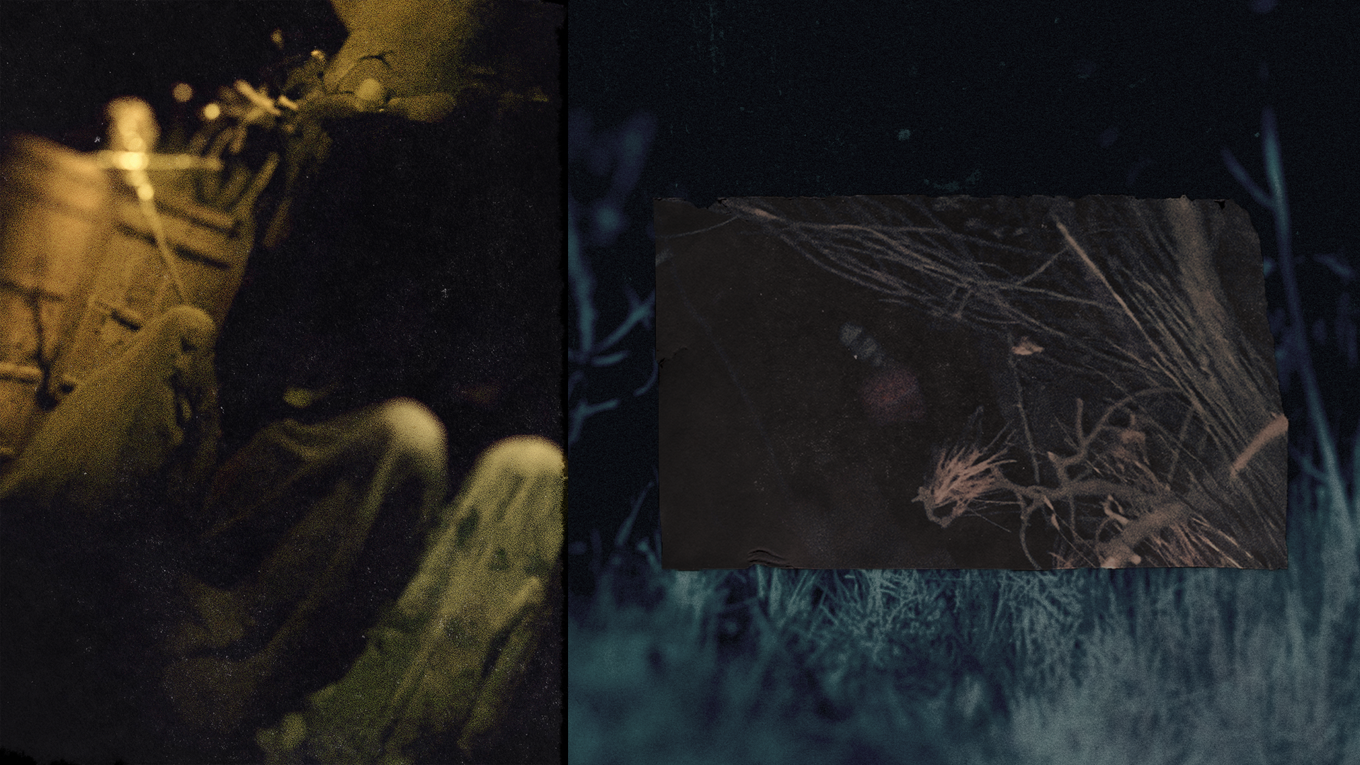 KOVEN EEDIT COLLAGE