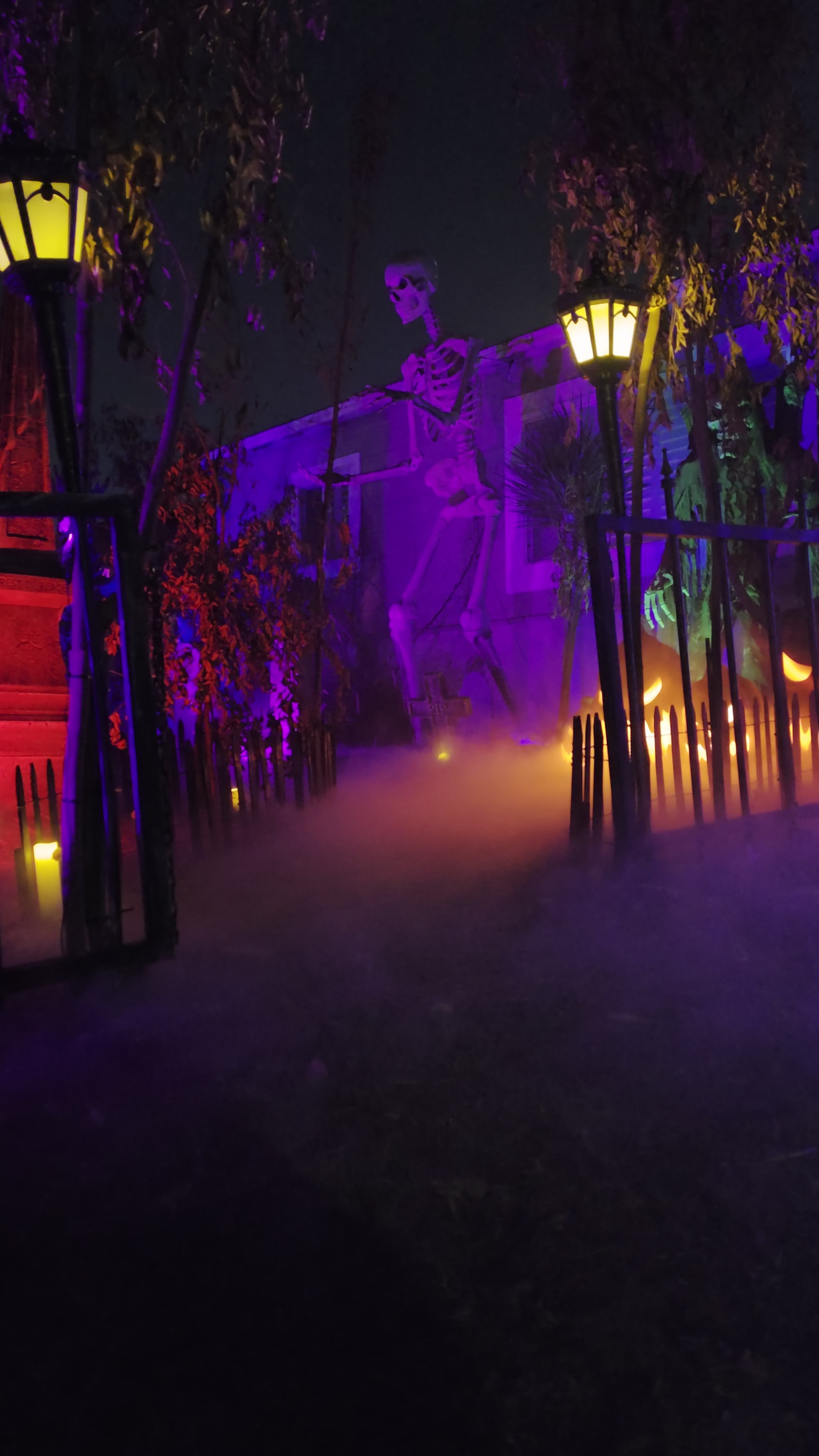 01 Entrance Fog