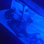 IMG 20261019 183020 150x150