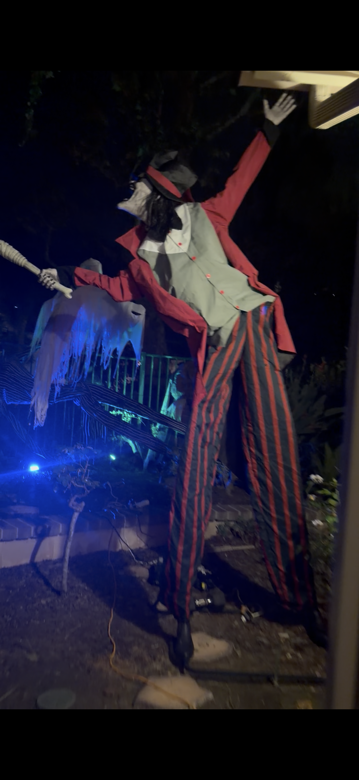 IMG 3735