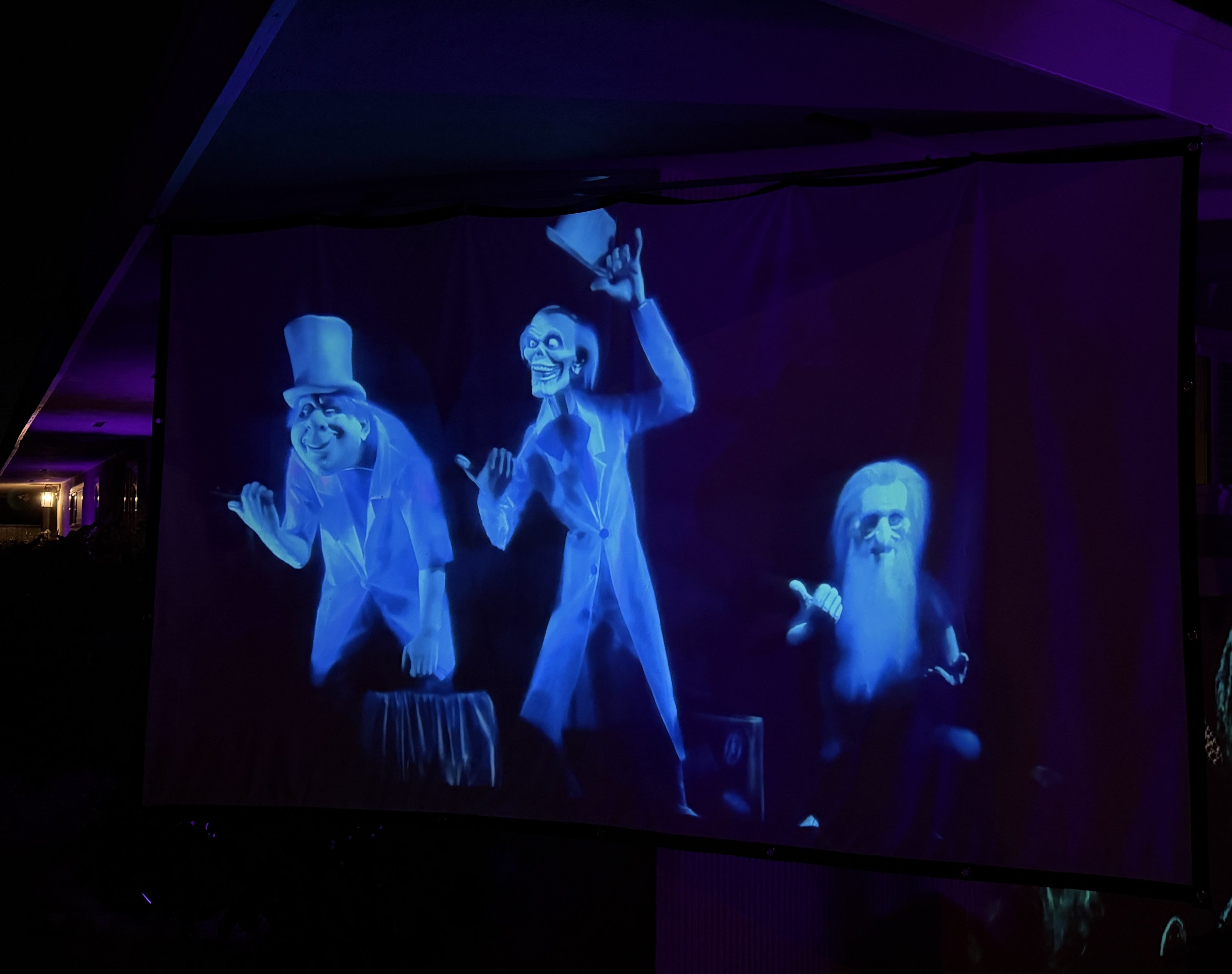 IMG 7764