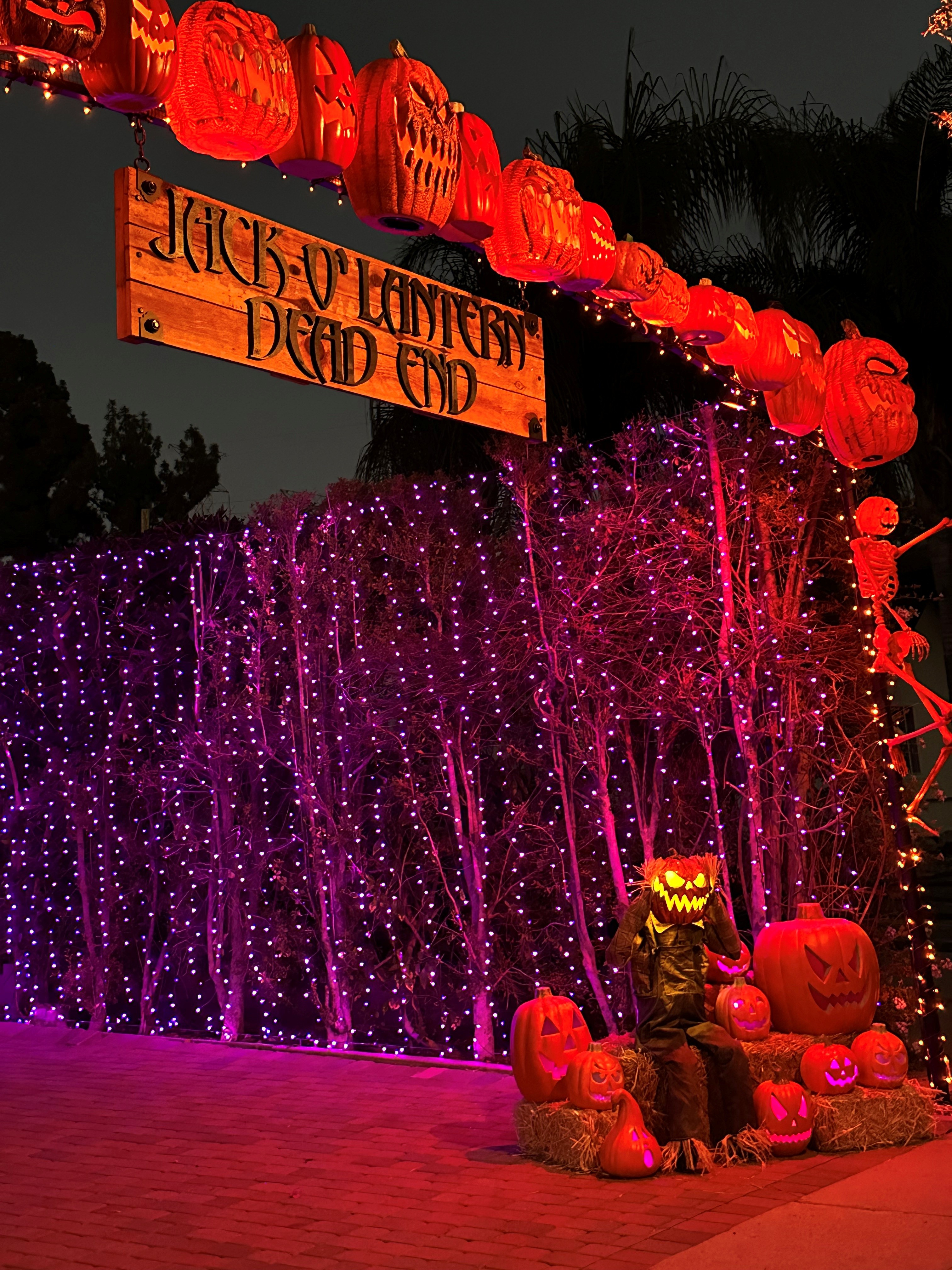 Jack O Lantern Dead End2