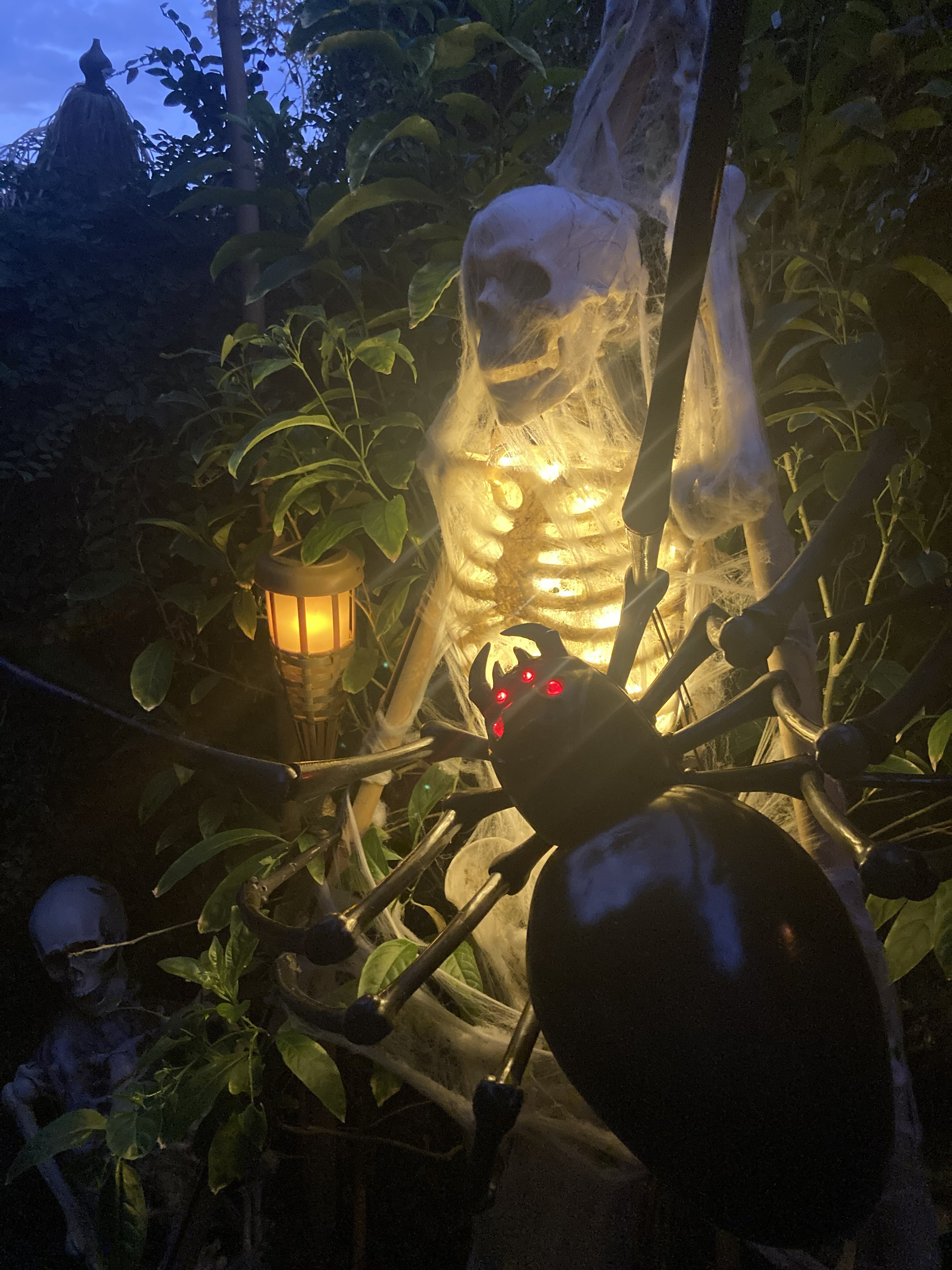 haunt 6