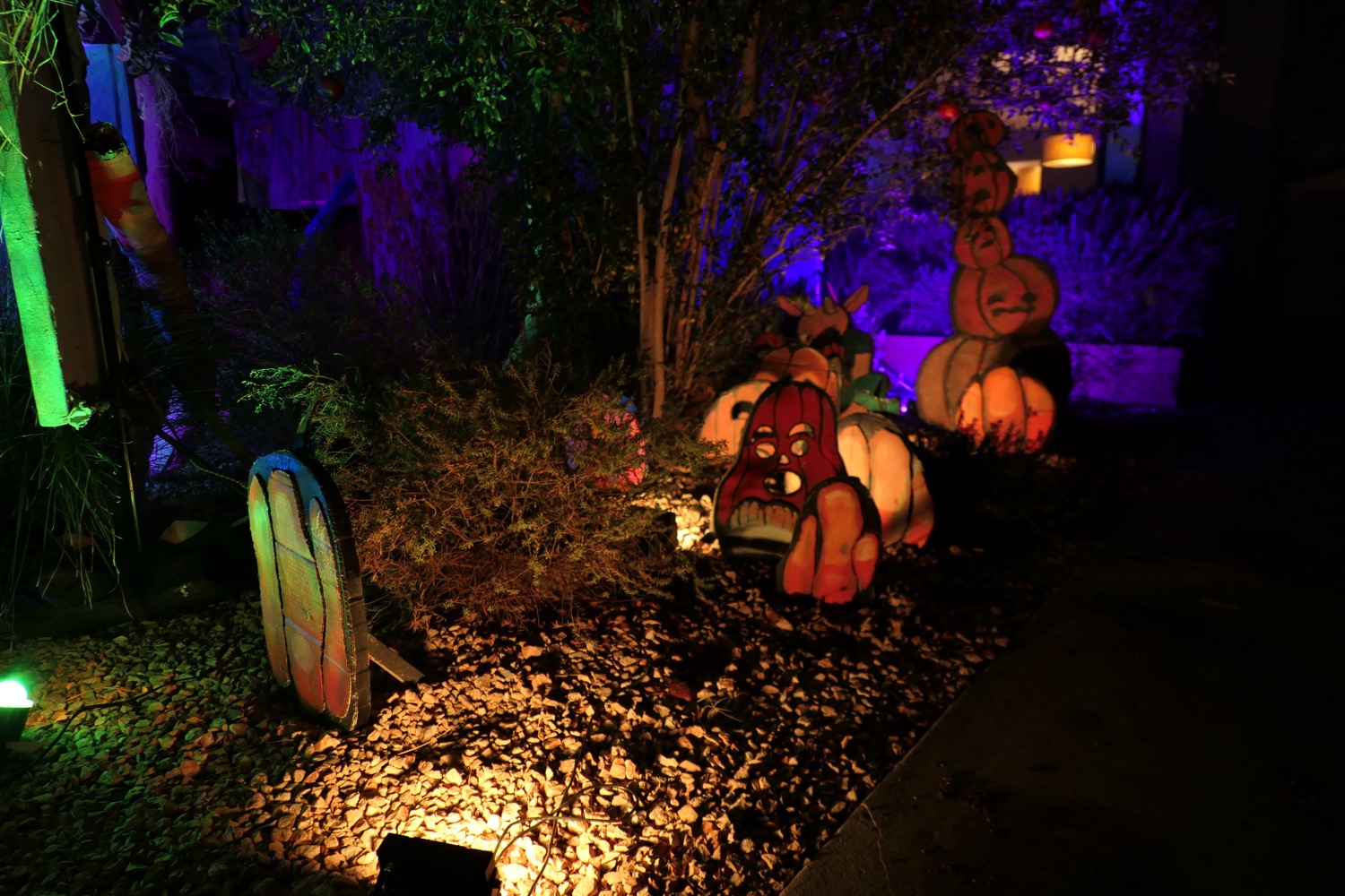 pumpkins