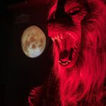 wolf head 2 150x150