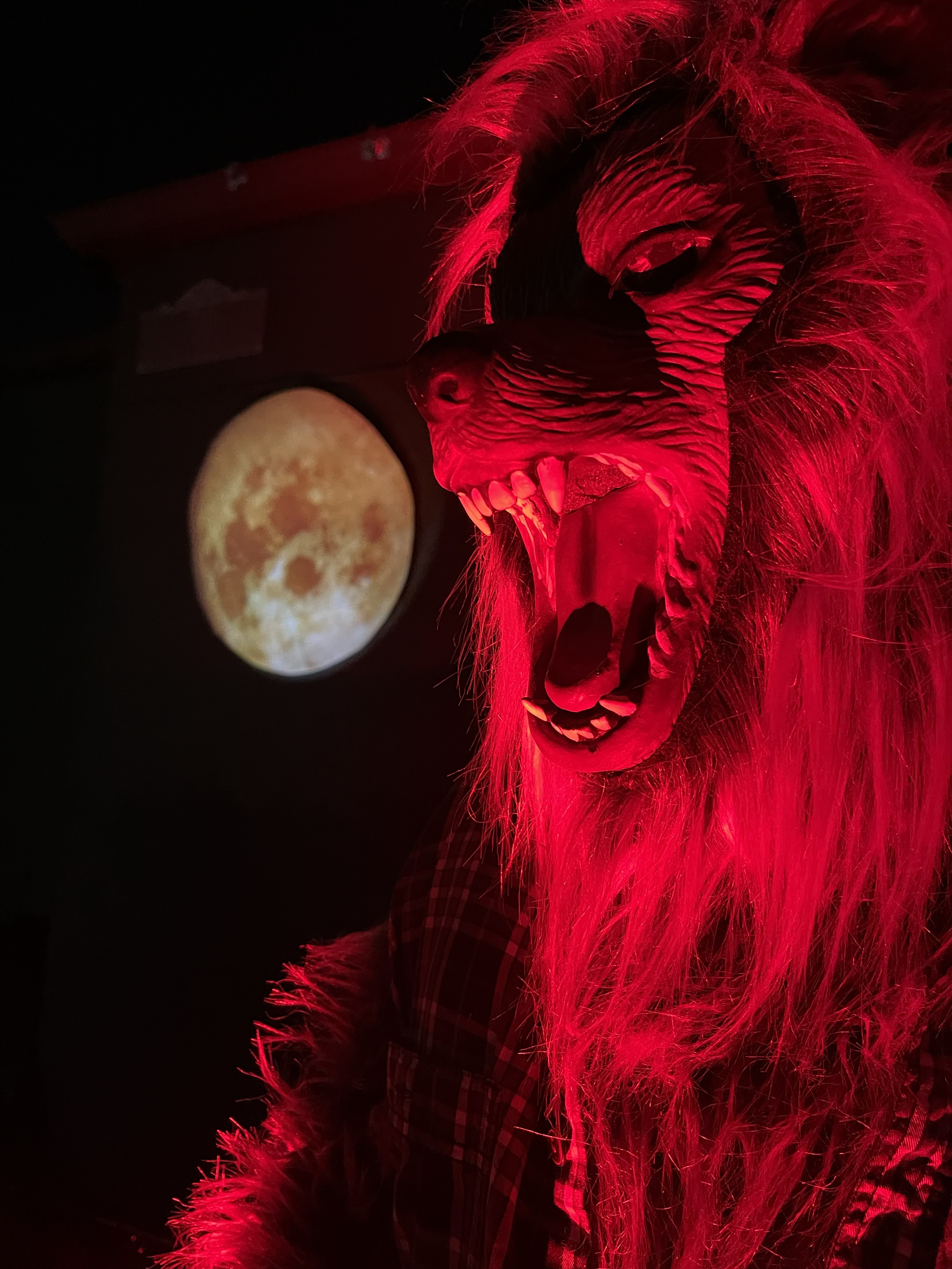 wolf head 2
